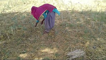 खेत में काम करती हुई उसकी देह पर देसी इंडियन ब्वॉयफ्रेंड का जुनूनी स्पर्श