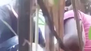 Village Couple Getting Nasty In The Sugarcane Field